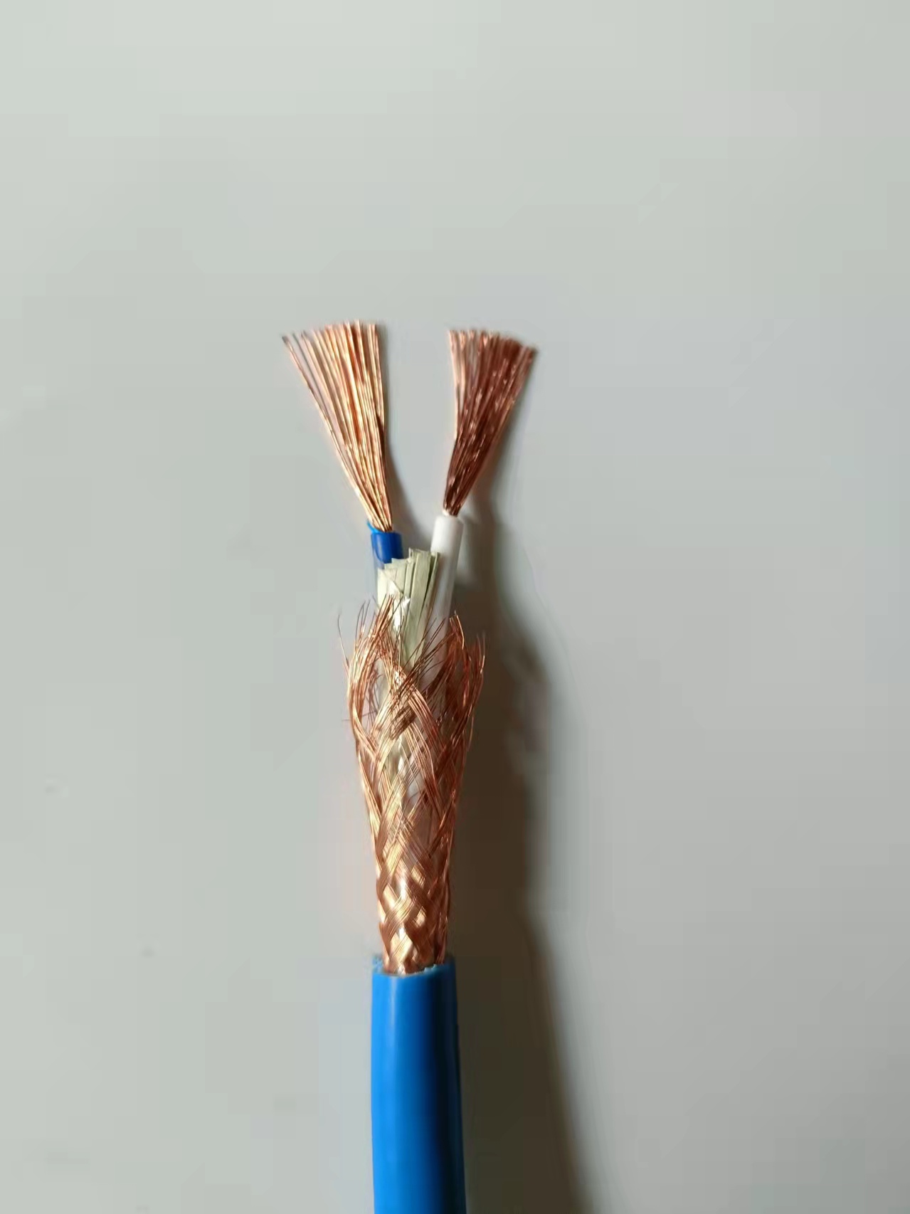 本安信号控（kòng）制电（diàn）缆